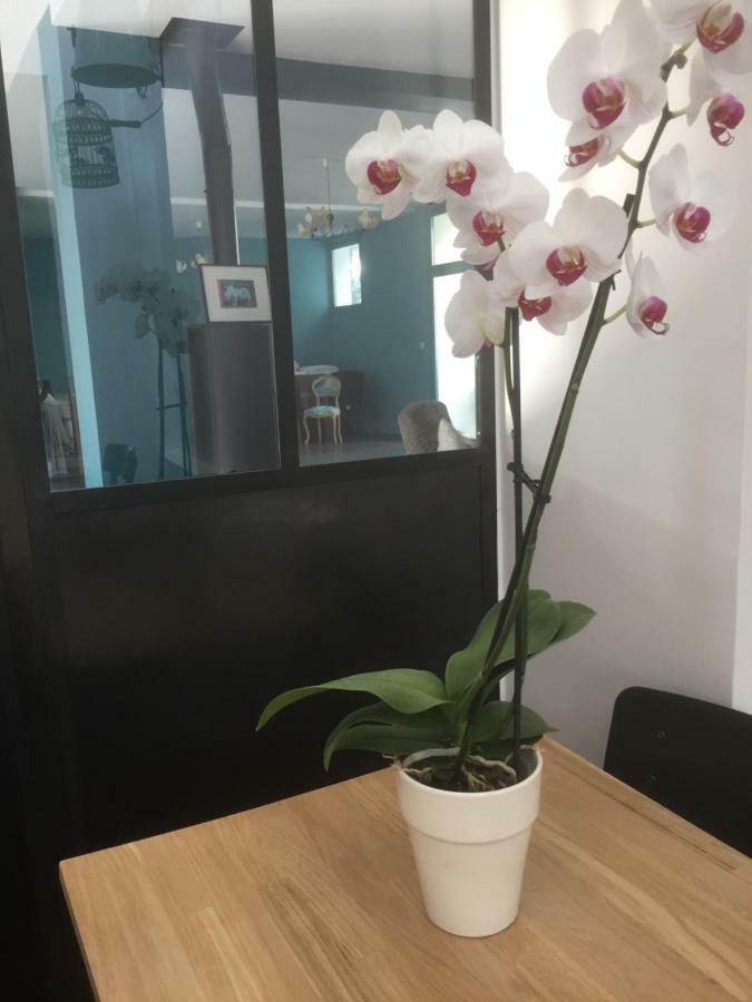 La Maison Prune ลียง ภายนอก รูปภาพ